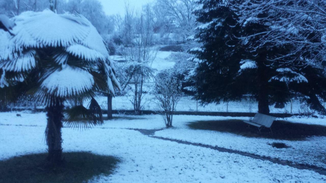 Bed and Breakfast Le Curieux De Conques Saint-Cyprien-sur-Dourdou Exterior foto